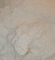 Bột BMK tinh thể 99% Bột Bromazolam trắng CAS 71368-80-4
